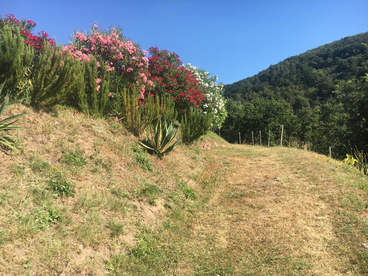 Cinque Terre, Tuscany, Liguria, Lerici #5 Luaran gambar